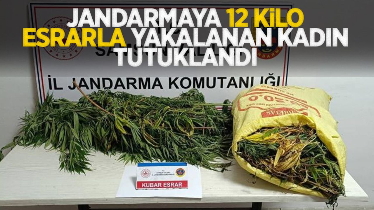 Jandarmaya 12 kilo esrarla yakalanan kadın tutuklandı