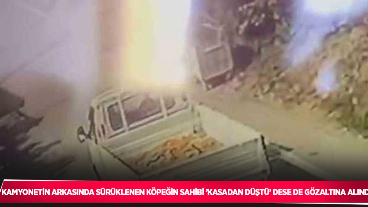 Kamyonetin arkasında sürüklenen köpeğin sahibi ’kasadan düştü’ dese de gözaltına alındı