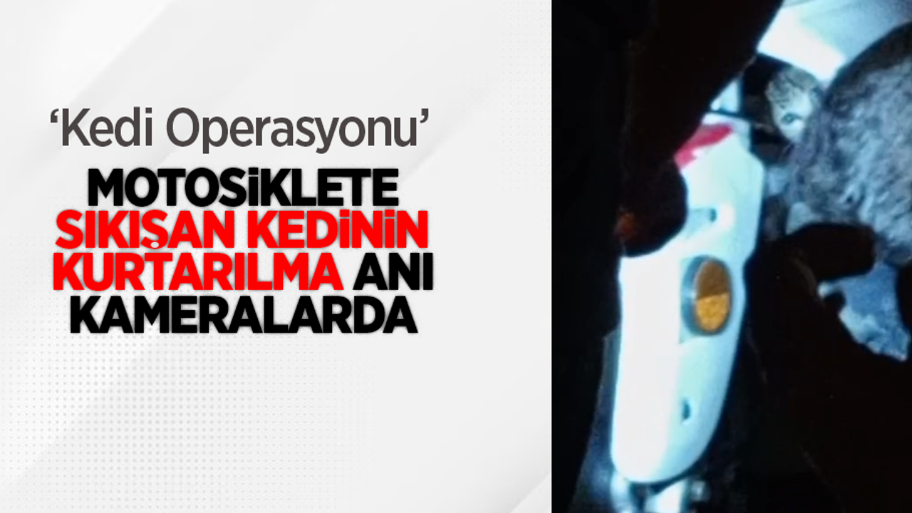 Kedi operasyonu: Motosiklete sıkışan kedinin kurtarılma anı kameralarda