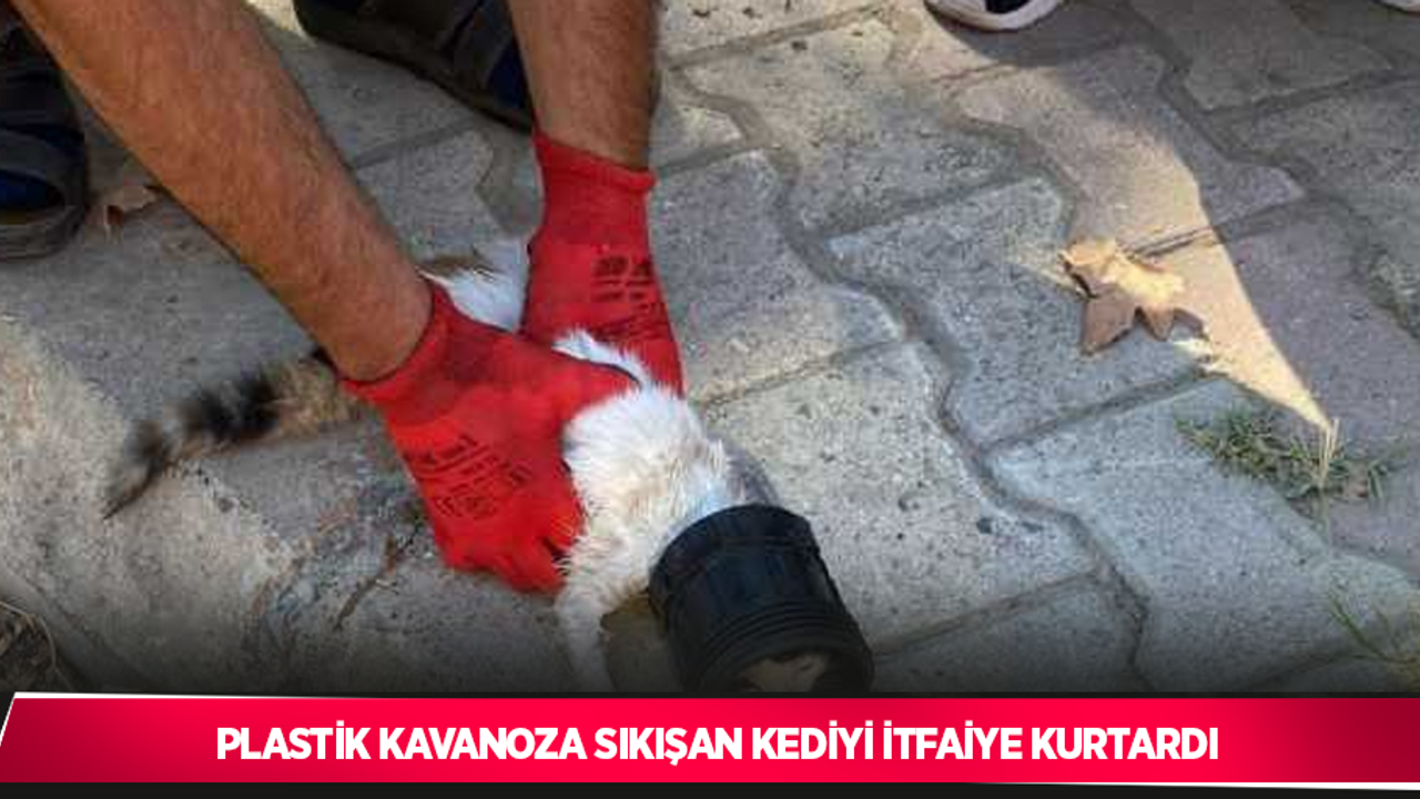 Plastik kavanoza sıkışan kediyi itfaiye kurtardı