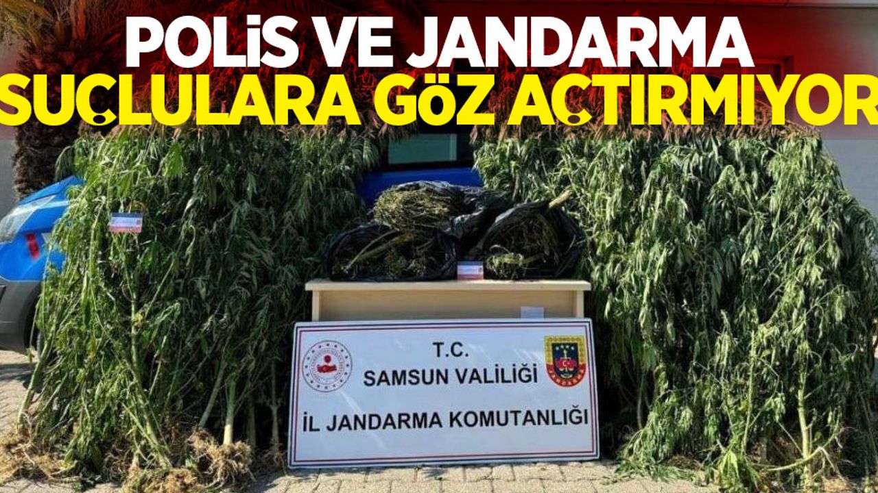Polis ve jandarma suçlulara göz açtırmıyor