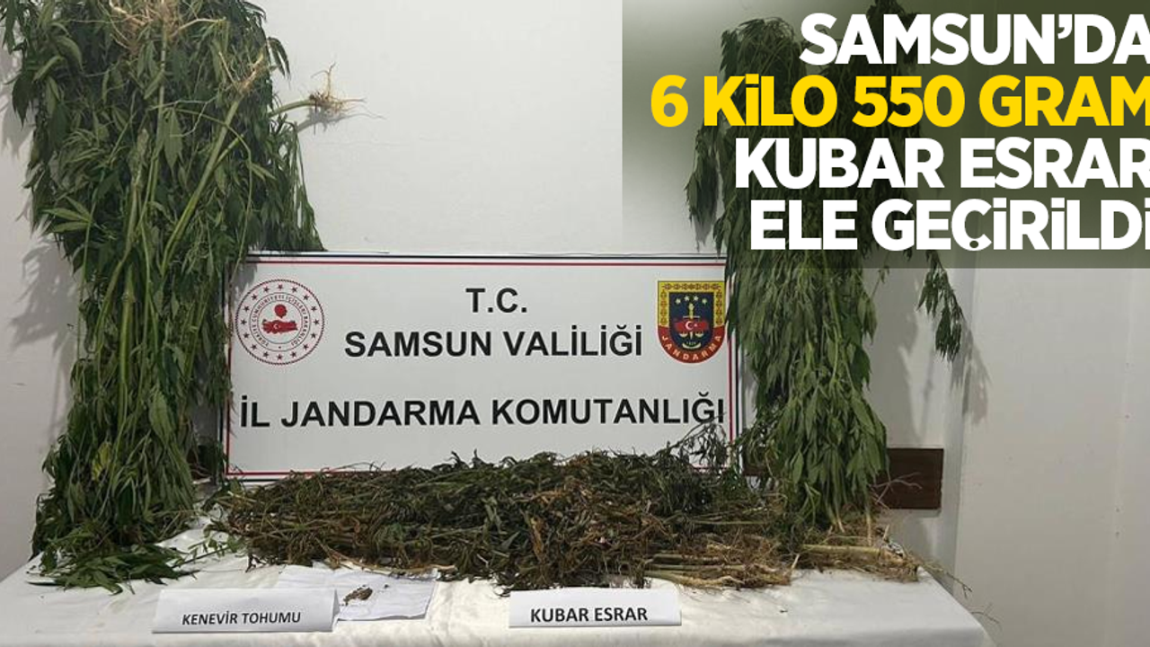 Samsun'da 6 kilo 550 gram kubar esrar ele geçirildi
