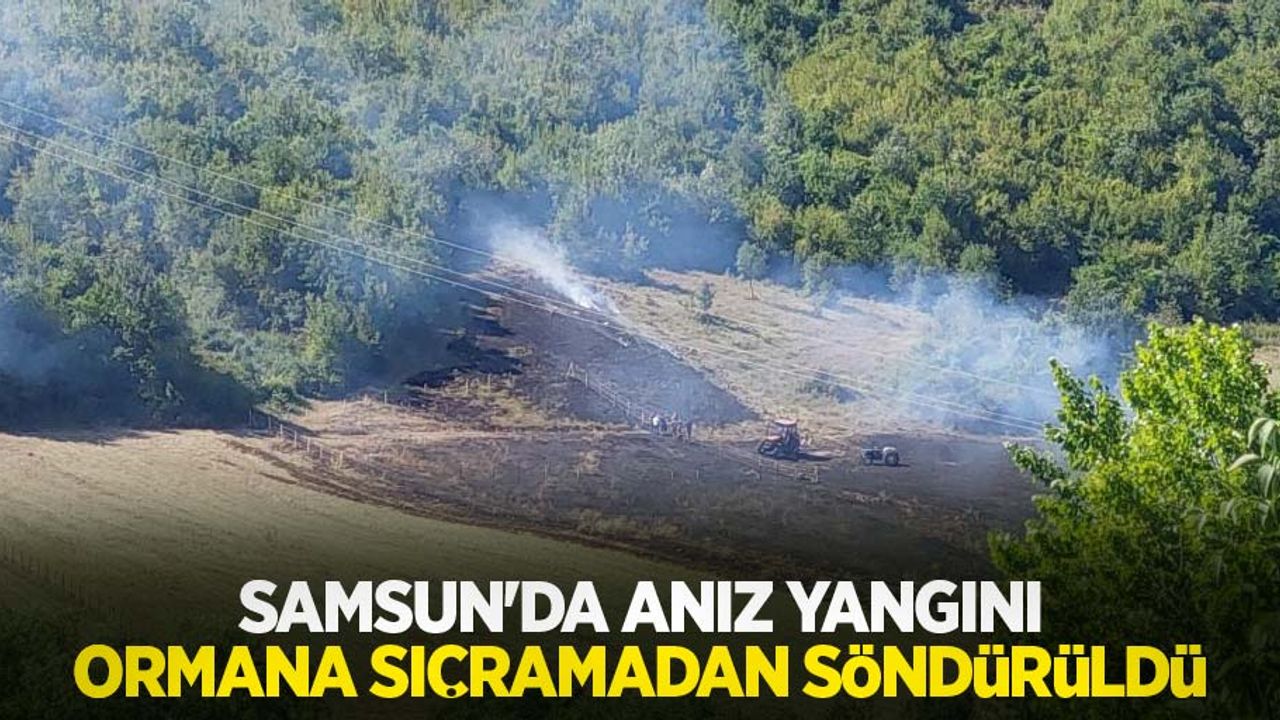 Samsun'da anız yangını ormana sıçramadan söndürüldü