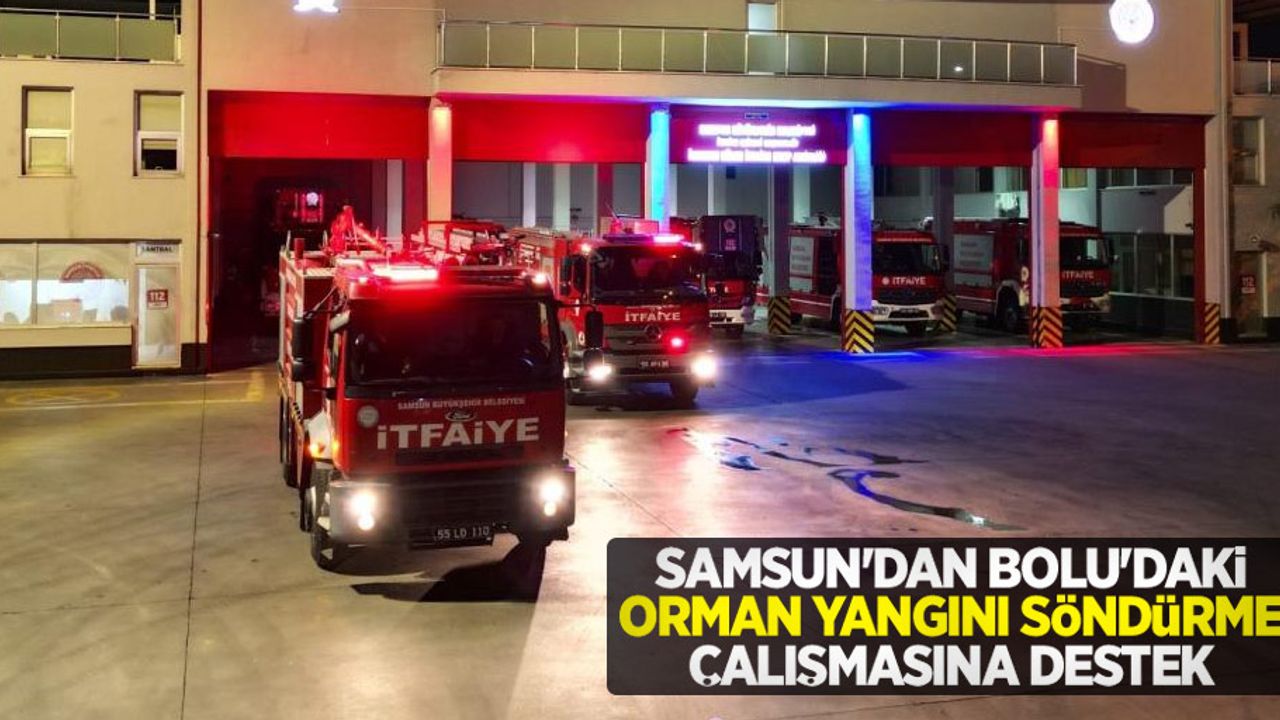 Samsun'dan, Bolu'daki orman yangını söndürme çalışmasına destek