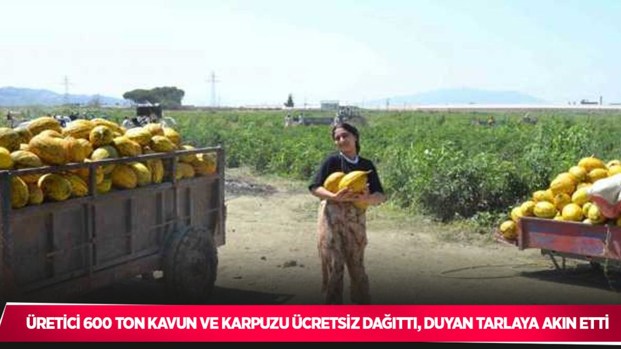 Üretici 600 ton kavun ve karpuzu ücretsiz dağıttı, duyan tarlaya akın etti