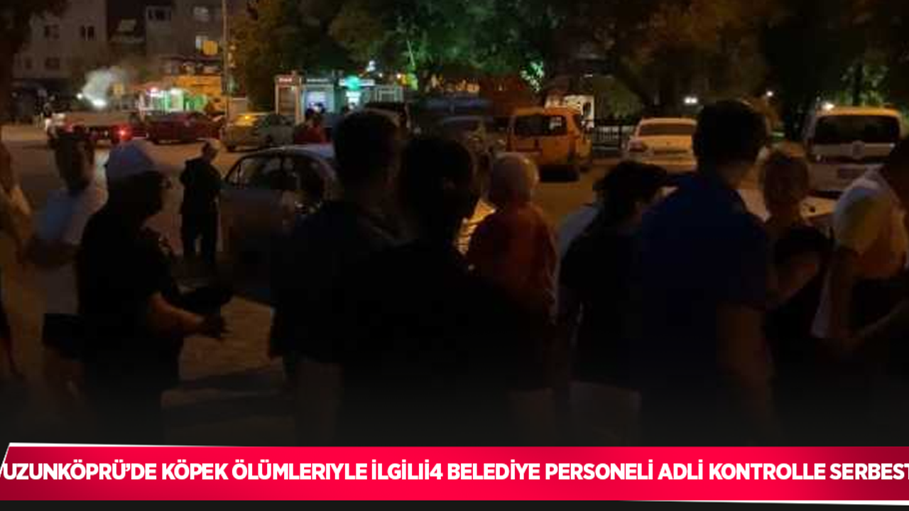 Uzunköprü’de köpek ölümleriyle ilgili 4 belediye personeli adli kontrolle serbest