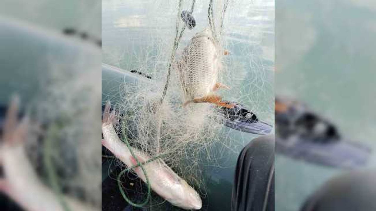 Amatör balıkçının duyarlılığı sayesinde 5 bin metrelik ’hayalet ağ’ ele geçirildi