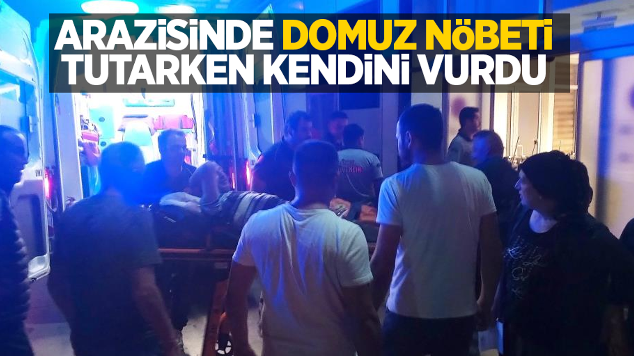 Arazisinde domuz nöbeti tutarken kendini vurdu