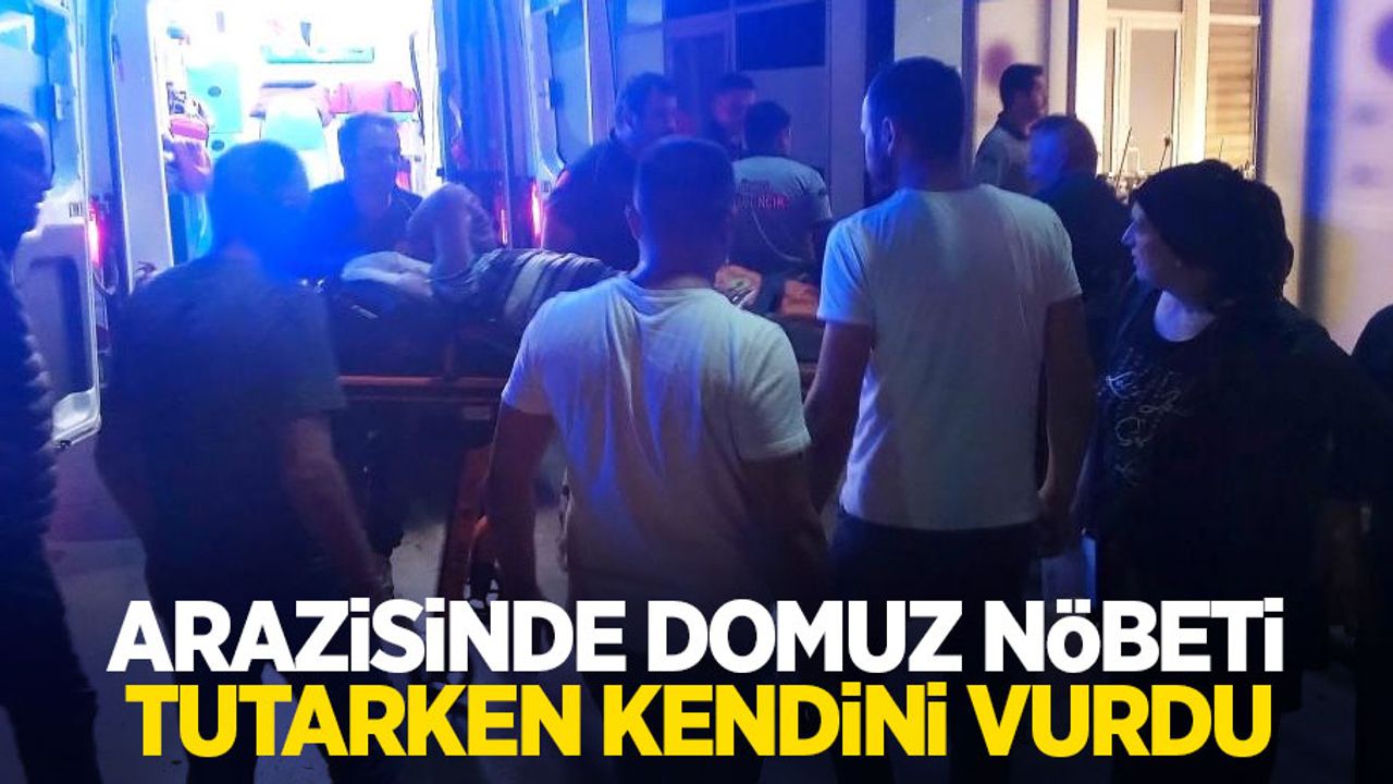 Arazisinde domuz nöbeti tutarken kendini vurdu