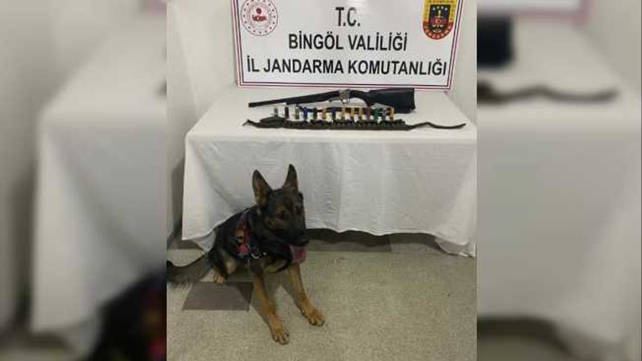 Bingöl’de 2 adet ruhsatsız av tüfeği ele geçirildi