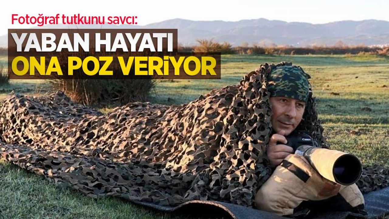 Fotoğraf tutkunu savcı: Yaban hayatı ona poz veriyor