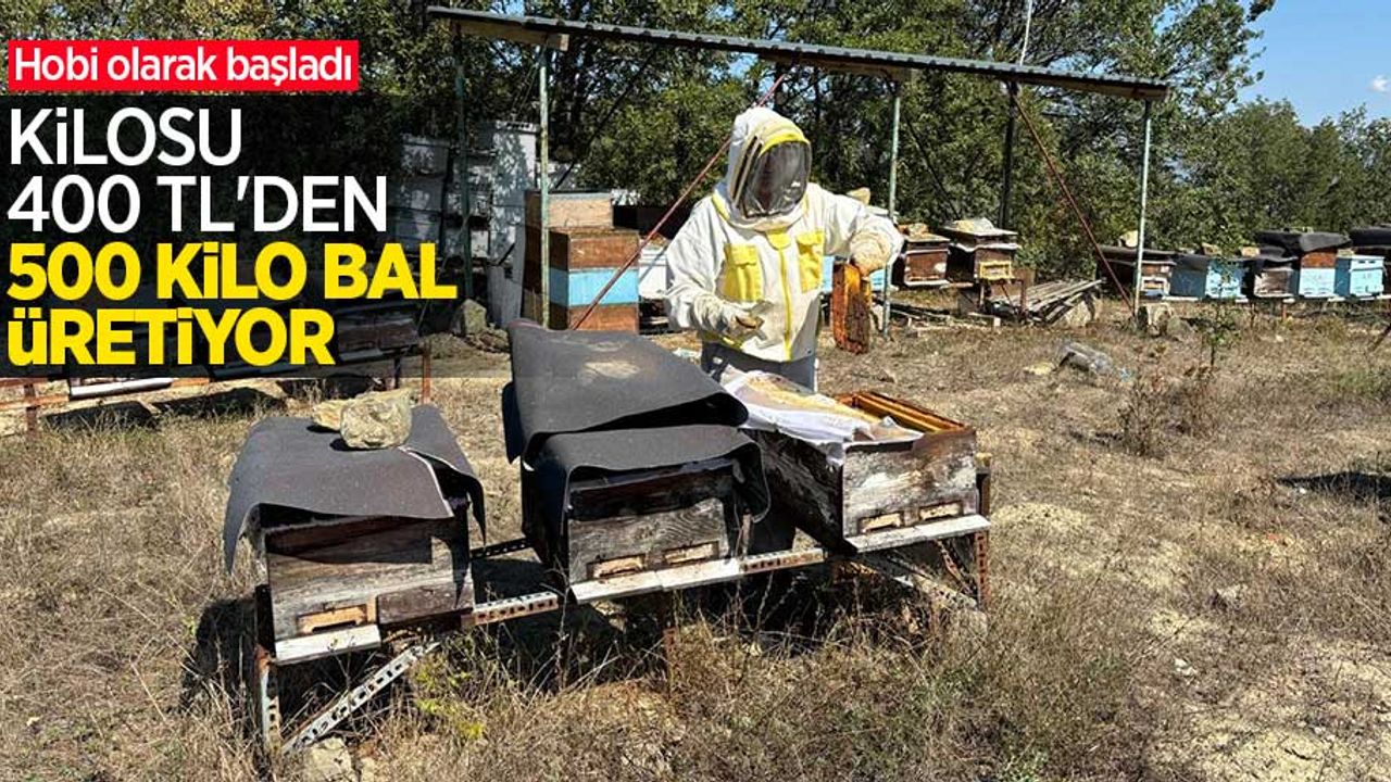 Hobi olarak başladı, kilosu 400 TL'den 500 kilo bal üretiyor