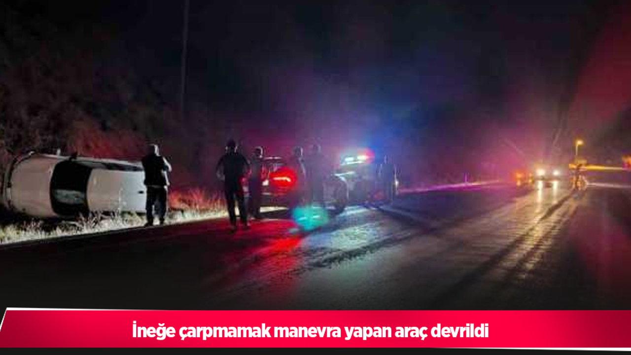 İneğe çarpmamak manevra yapan araç devrildi