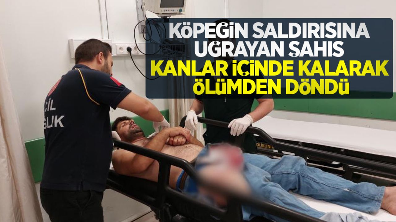 Köpeğin saldırısına uğrayan şahıs kanlar içinde kalarak ölümden döndü
