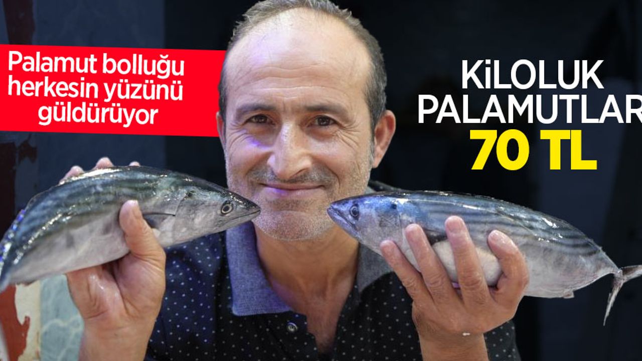 Palamut bolluğu herkesin yüzünü güldürüyor: Kiloluk palamutlar 70 TL