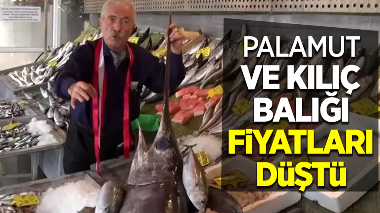Palamut ve kılıç balığı fiyatları düştü