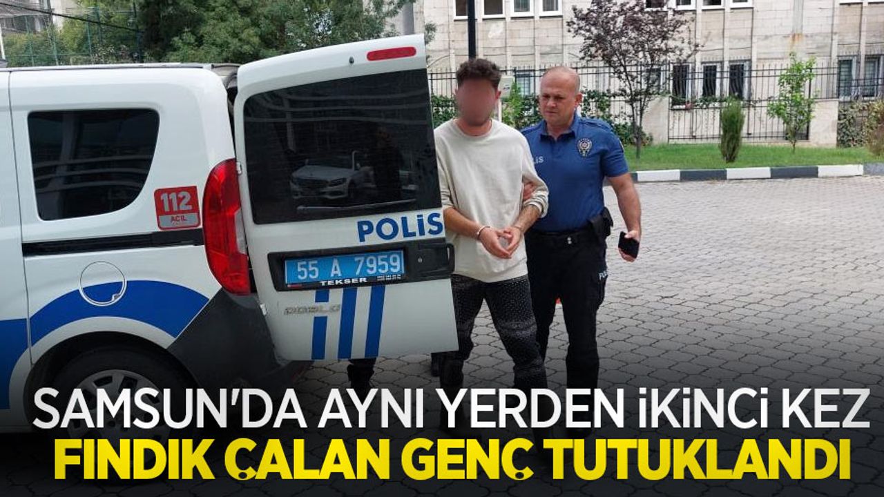 Samsun'da aynı yerden ikinci kez fındık çalan genç tutuklandı