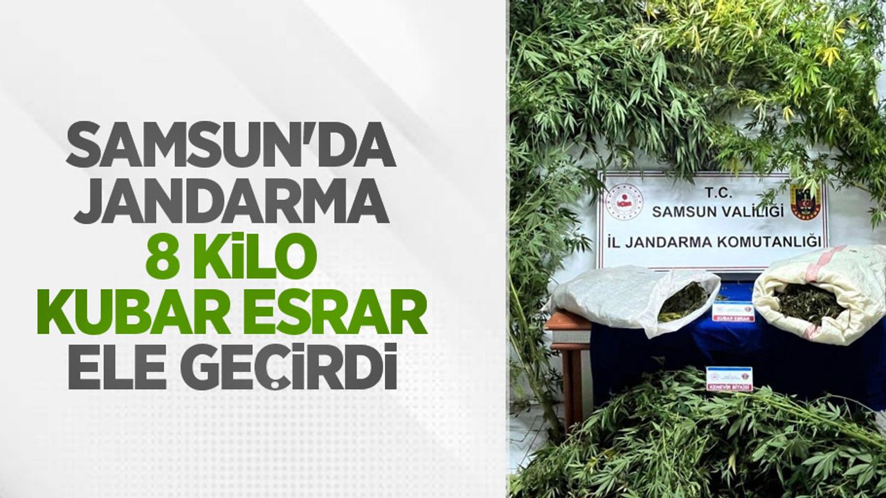 Samsun'da jandarma 8 kilo kubar esrar ele geçirdi
