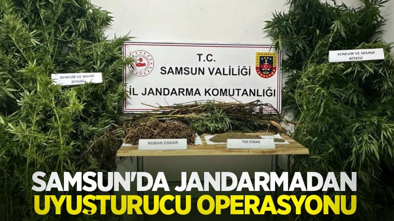 Samsun'da jandarmadan uyuşturucu operasyonu: 2 gözaltı
