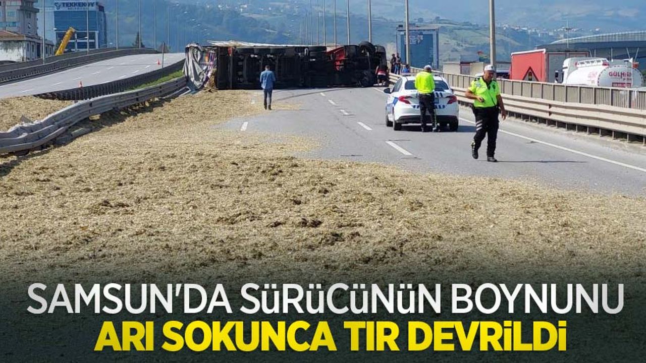Samsun'da sürücünün boynunu arı sokunca tır devrildi