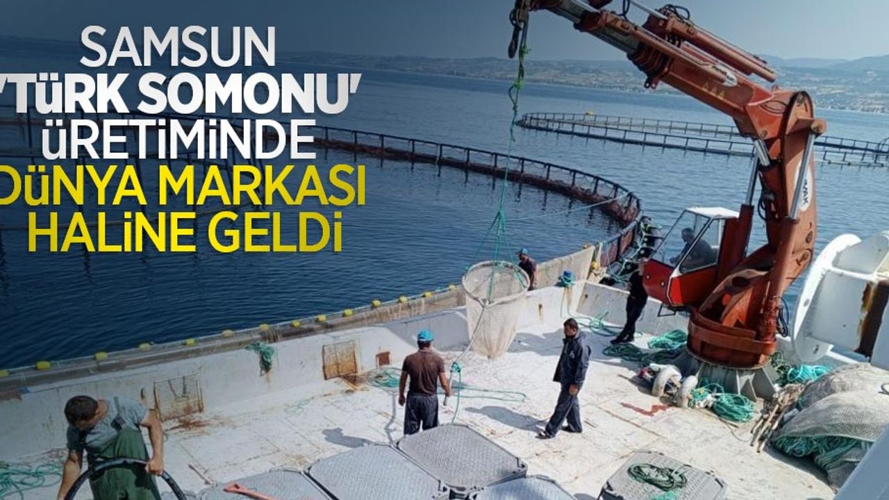 Samsun, 'Türk somonu' üretiminde dünya markası haline geldi