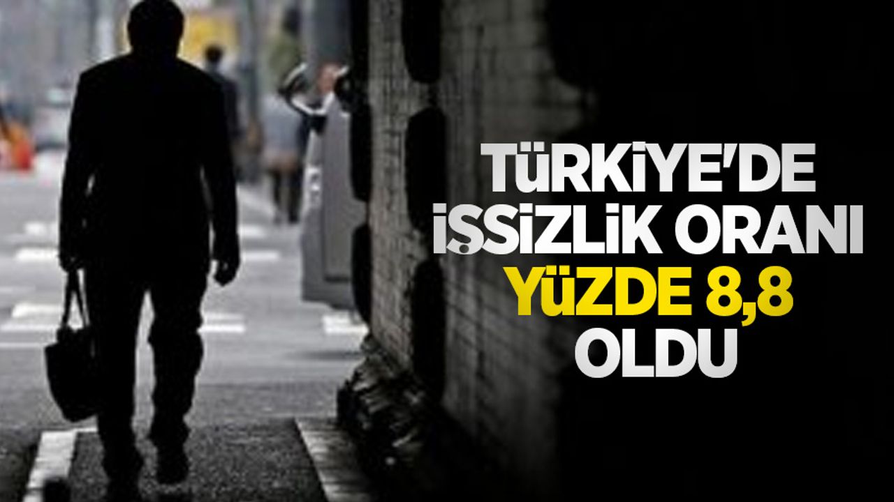Türkiye'de işsizlik oranı yüzde 8,8 oldu
