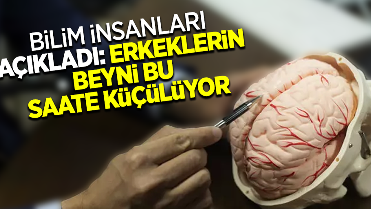 Uzmanlar açıkladı erkeklerin beyni bu saate küçülüyor