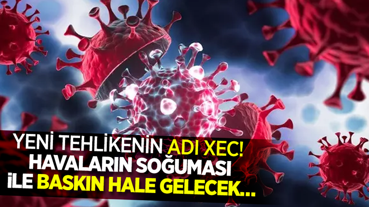 Yeni tehlikenin adı XEC! Havaların soğuması ile baskın hale gelecek...