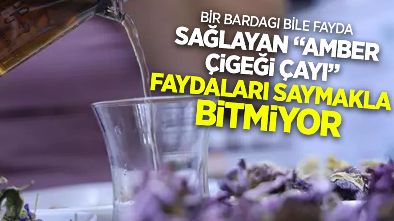 Bir bardağı bile fayda sağlayan "Amber Çiçeği çayı" faydaları saymakla bitmiyor
