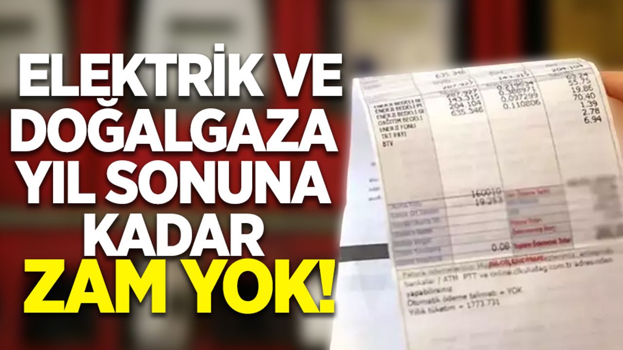 Elektrik ve doğalgaza yıl sonuna kadar zam yok