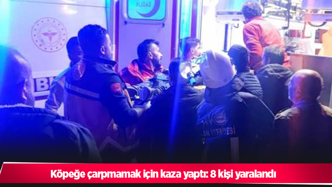 Köpeğe çarpmamak için kaza yaptı: 8 kişi yaralandı