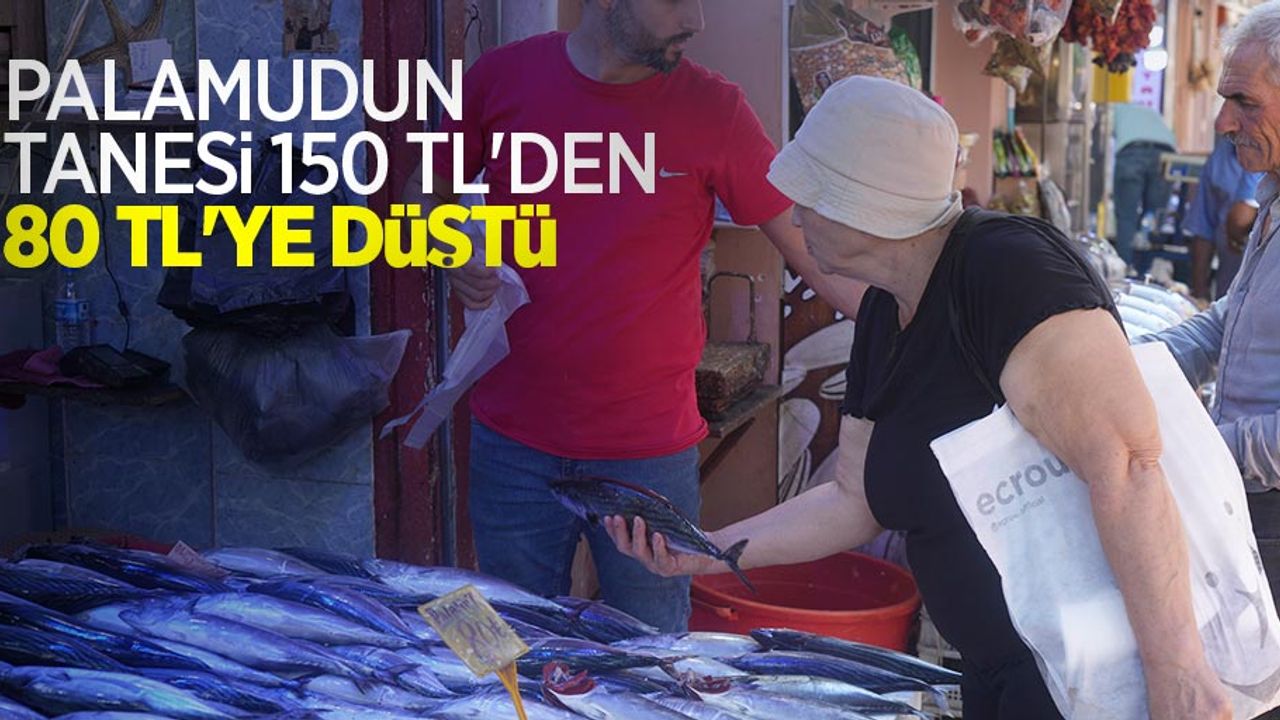 Palamudun tanesi 150 TL’den 80 TL’ye düştü