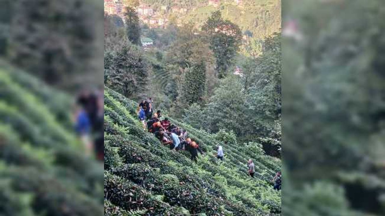 Rize’de araç uçuruma yuvarlandı: 1 ölü, 1 yaralı