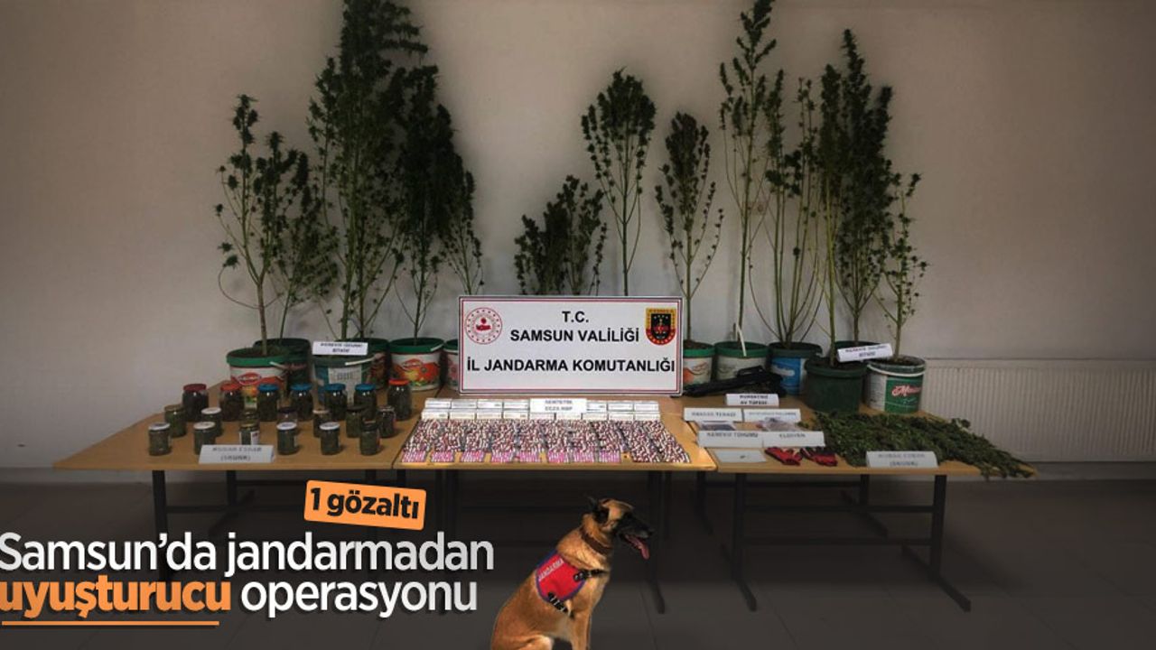 Samsun'da jandarmadan uyuşturucu operasyonu: 1 gözaltı