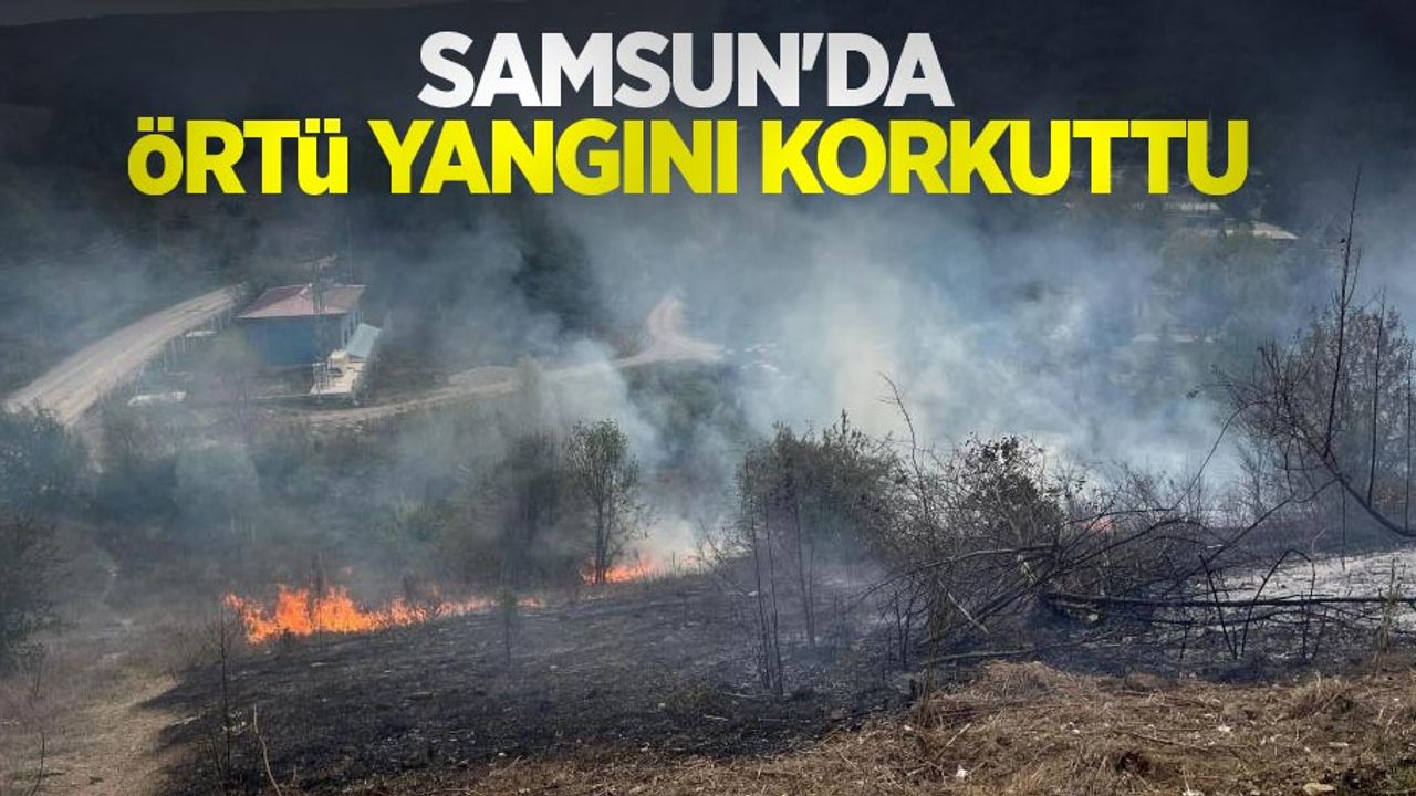 Samsun'da örtü yangını korkuttu