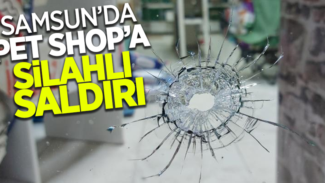 Samsun'da pet shop'a silahlı saldırı
