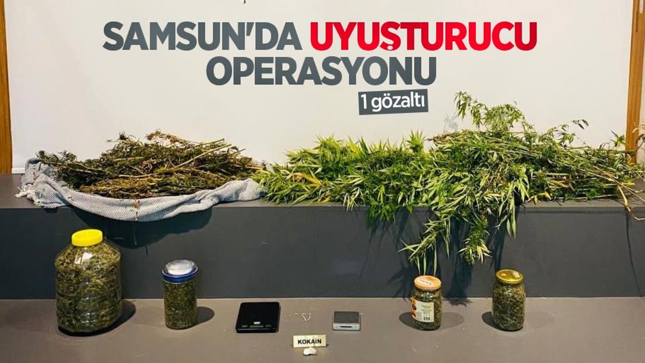 Samsun'da uyuşturucu operasyonu: 1 gözaltı