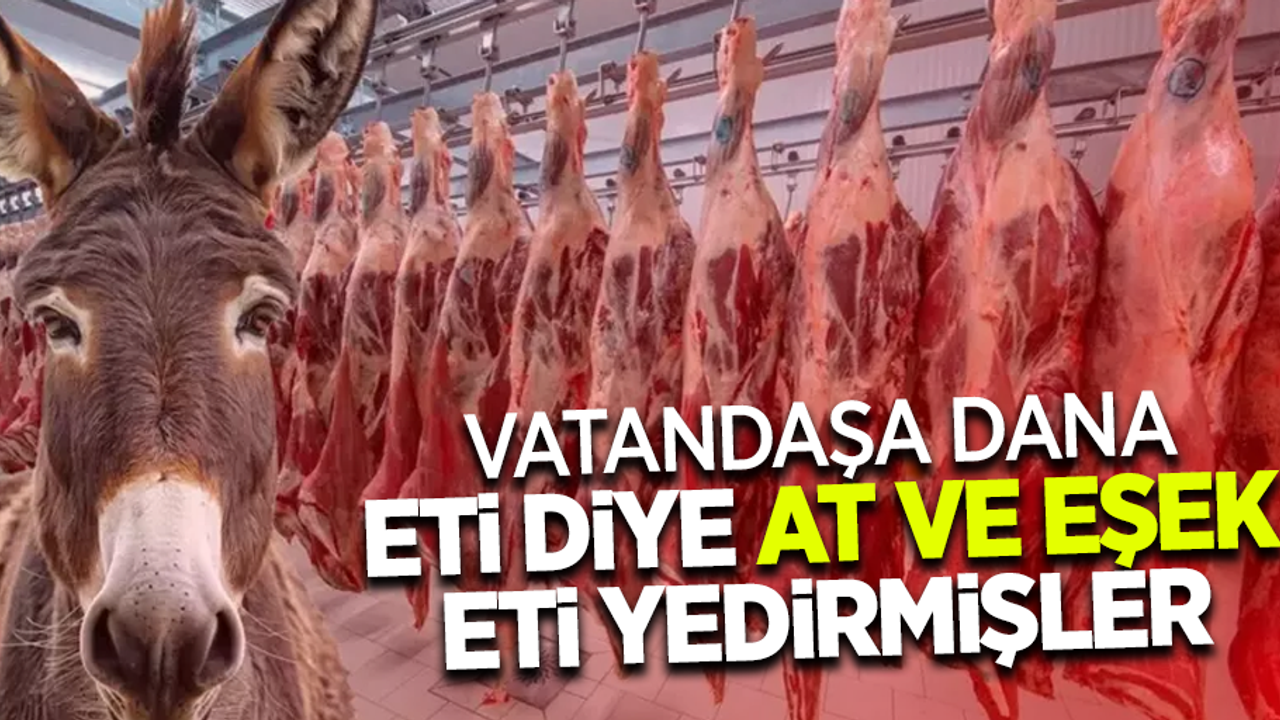 Vatandaşa dana eti diye at eti ve eşek eti yedirmişler