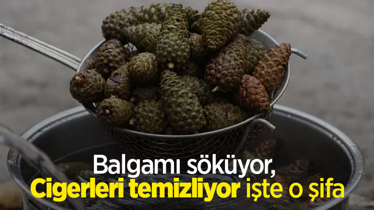 Balgamı söküyor,  Cigerleri temizliyor işte o şifa