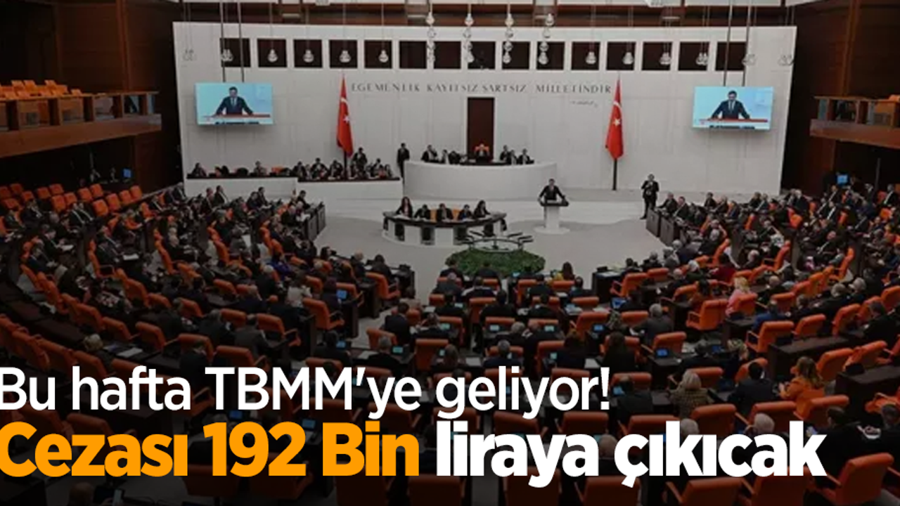 Bu hafta TBMM'ye geliyor Cezası 192 Bin liraya çıkıcak