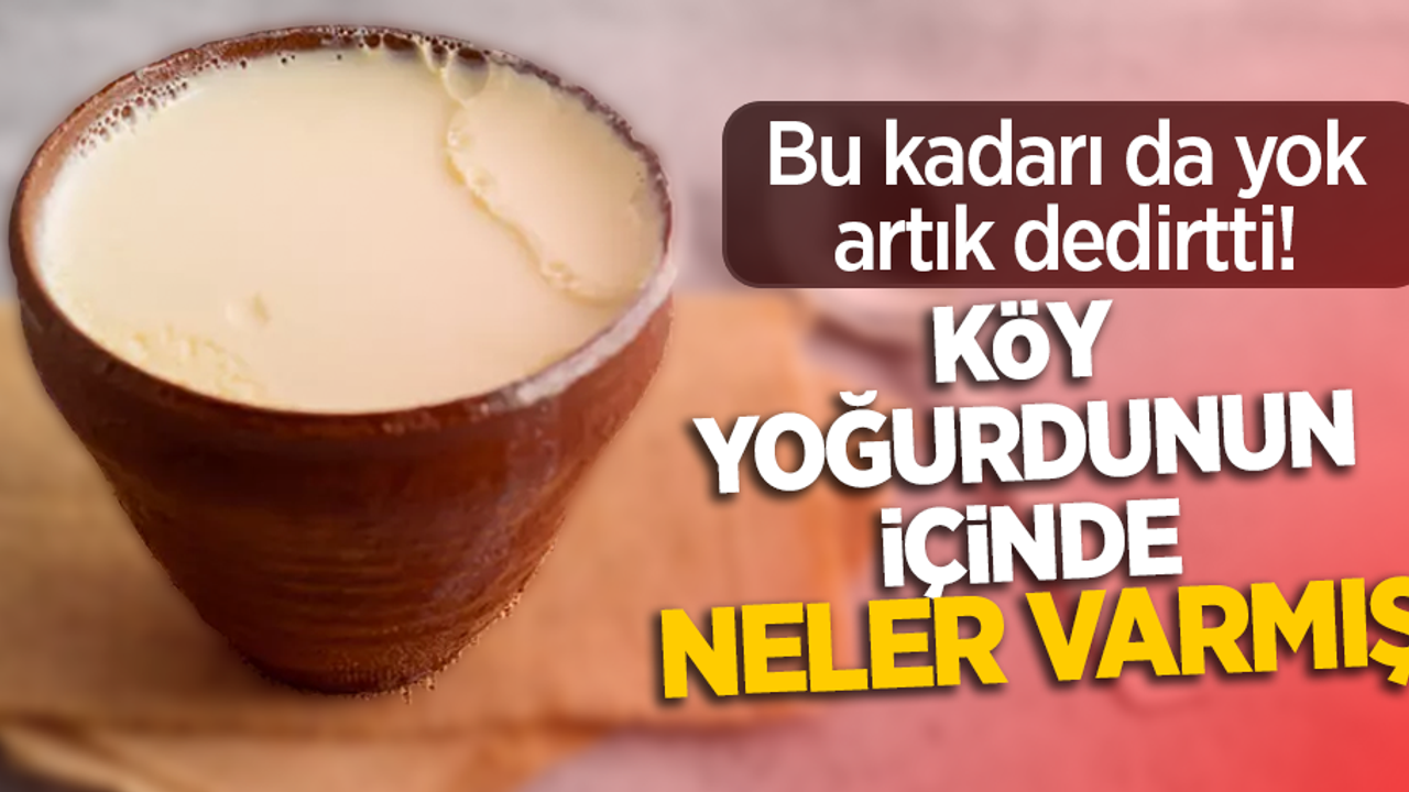 Bu kadarı da yok dedirtti! köy yoğurdunun içinde neler varmış
