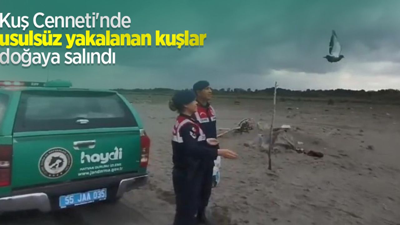 Kuş Cenneti'nde usulsüz yakalanan kuşlar doğaya salındı