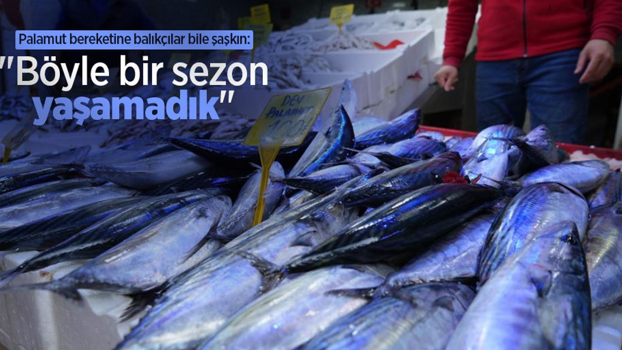 Palamut bereketine balıkçılar bile şaşkın: "Böyle bir sezon yaşamadık"
