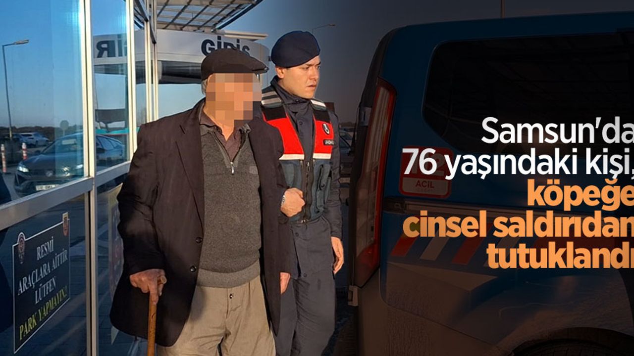 Samsun'da 76 yaşındaki kişi, köpeğe cinsel saldırıdan tutuklandı