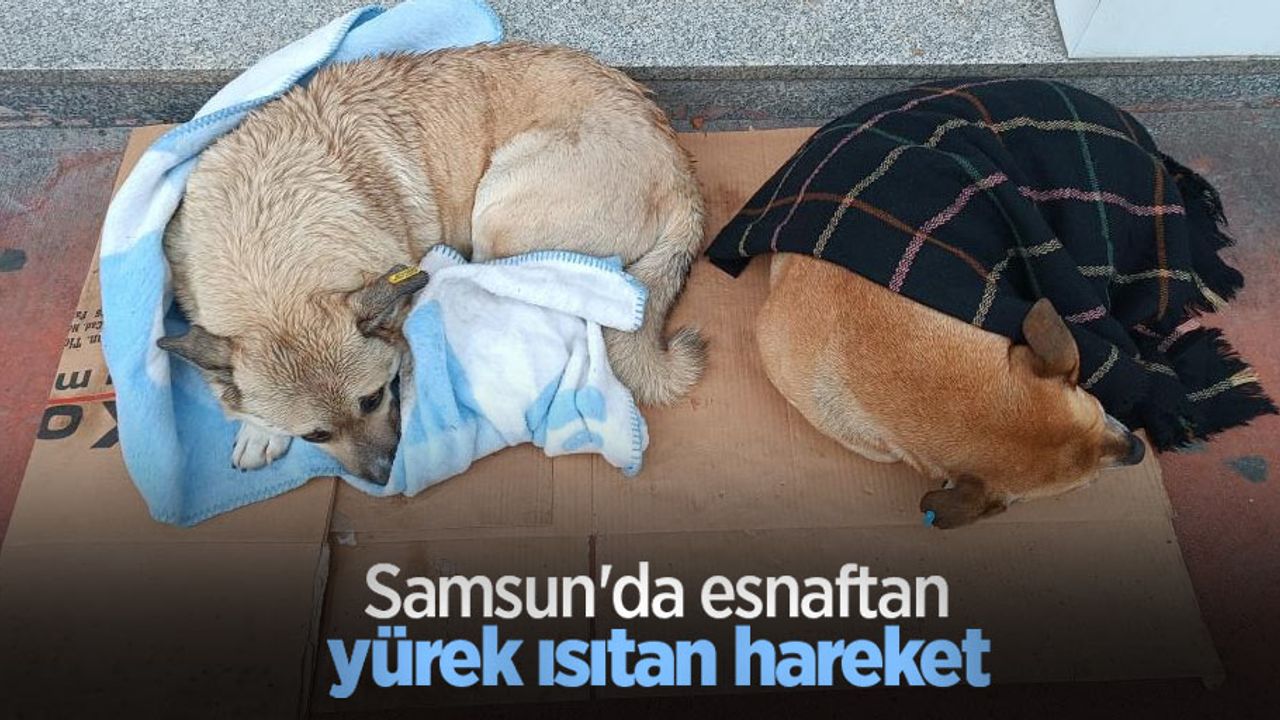 Samsun'da esnaftan yürek ısıtan hareket