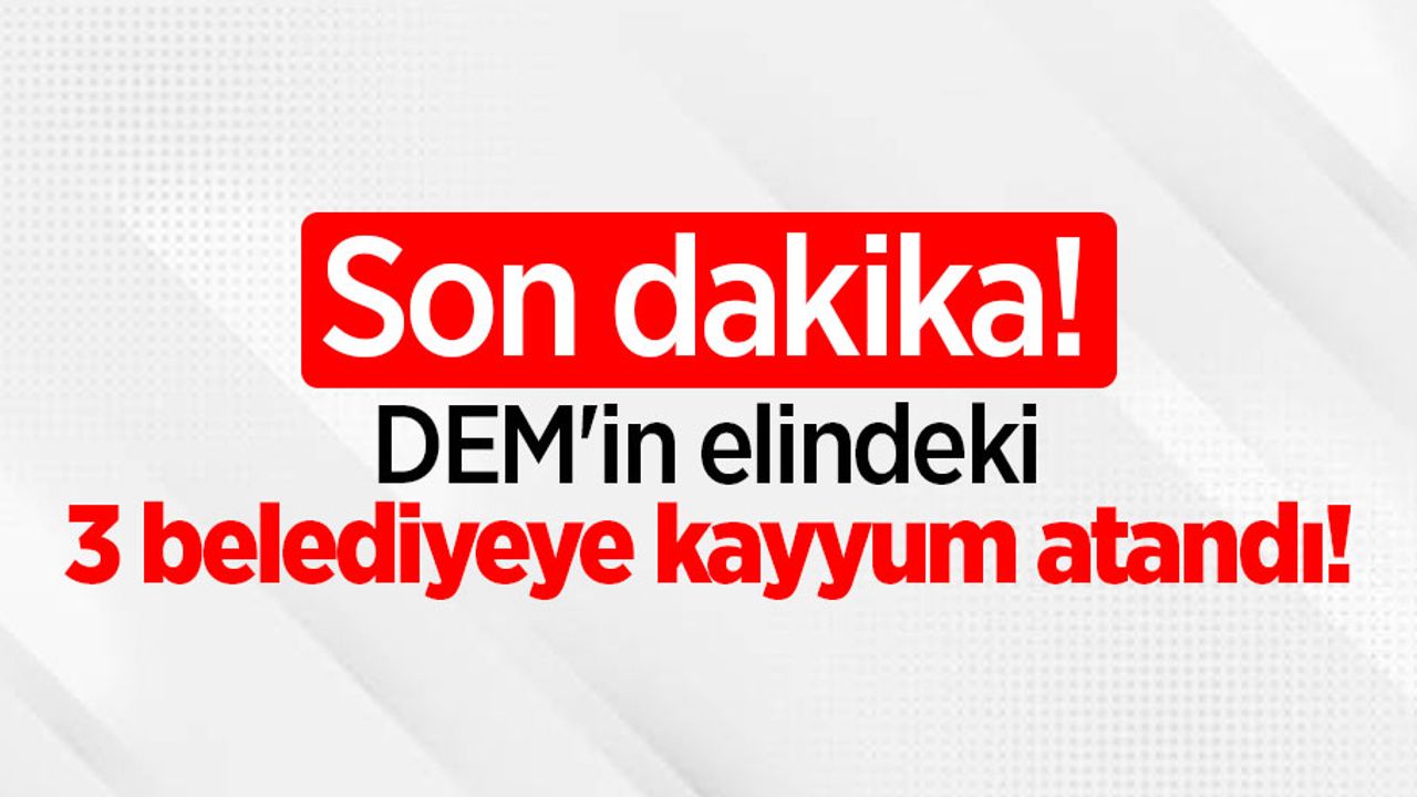 Son dakika! DEM'in elindeki 3 belediyeye kayyum atandı!