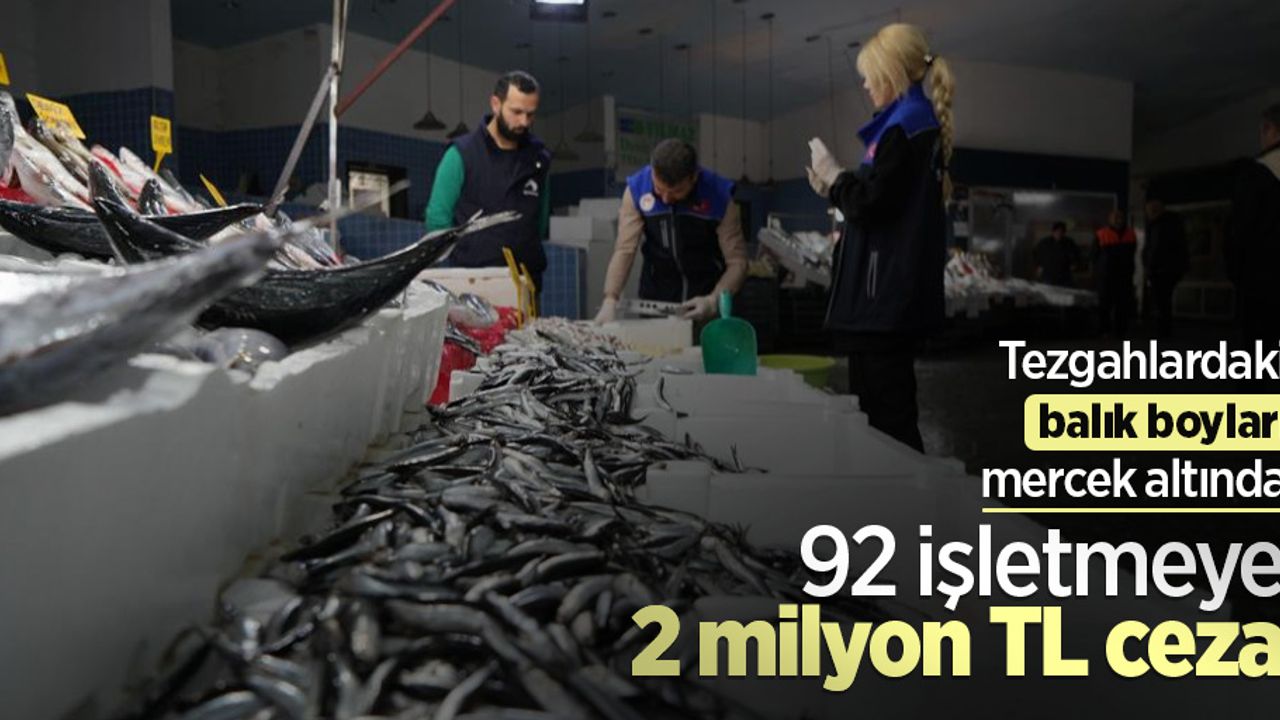 Tezgahlardaki balık boyları mercek altında: 92 işletmeye 2 milyon TL ceza