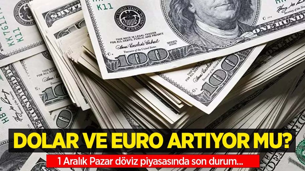 1 Aralık Pazar dolar ne kadar oldu, euro ne kadar?