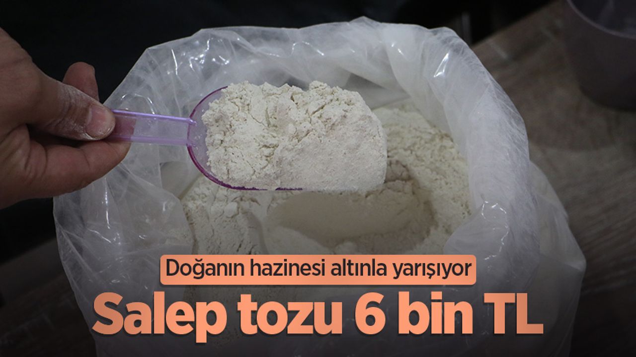 Doğanın hazinesi altınla yarışıyor; salep tozu 6 bin TL 