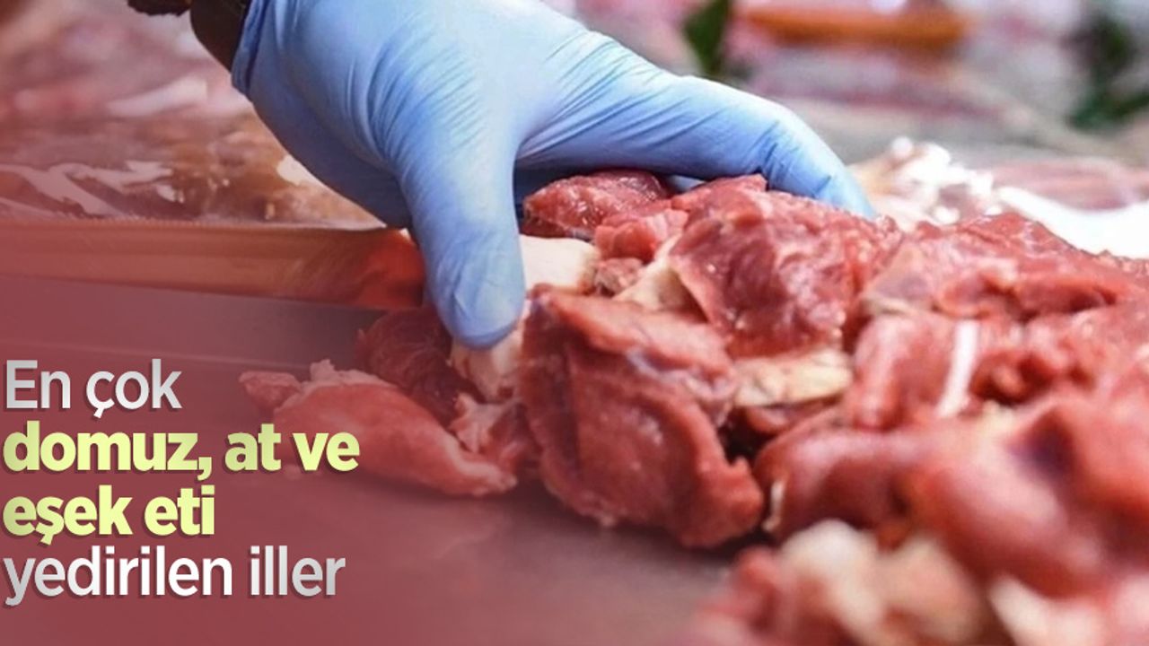 En çok domuz, at ve eşek eti yedirilen iller